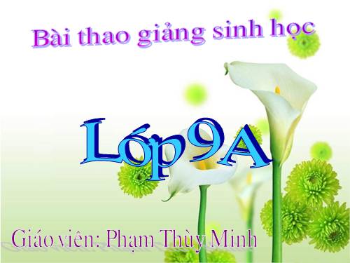 Bài 47. Quần thể sinh vật