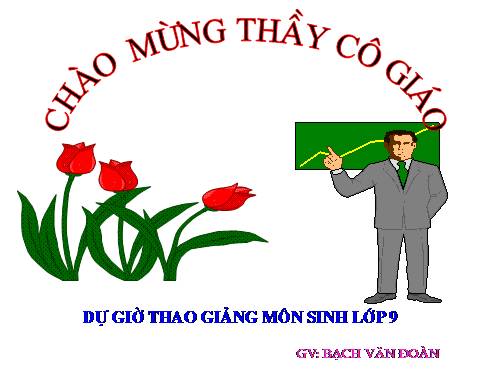 Bài 50. Hệ sinh thái