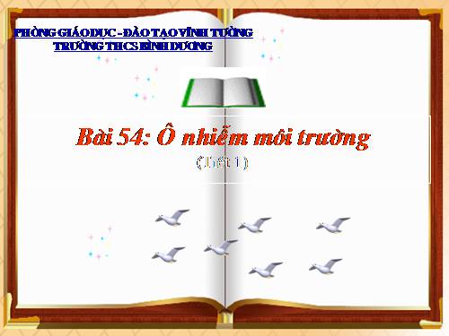 Bài 54. Ô nhiễm môi trường