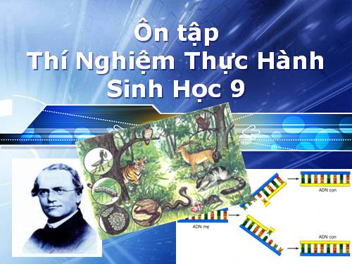 Đề thi Học sinh Giỏi Thí nghiệm - Thực hành Sinh học 9