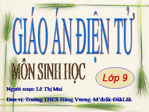 Bài 58. Sử dụng hợp lí tài nguyên thiên nhiên