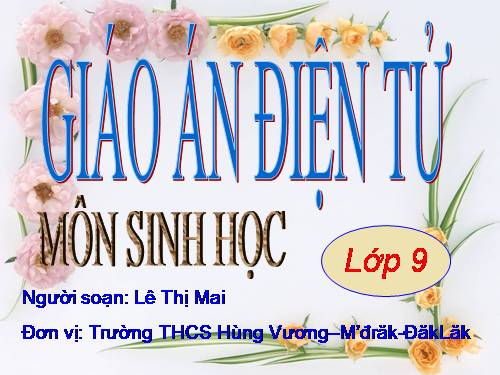 Bài 55. Ô nhiễm môi trường (tiếp theo)