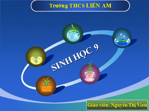 Bài 39. Thực hành: Tìm hiểu thành tựu chọn giống vật nuôi và cây trồng