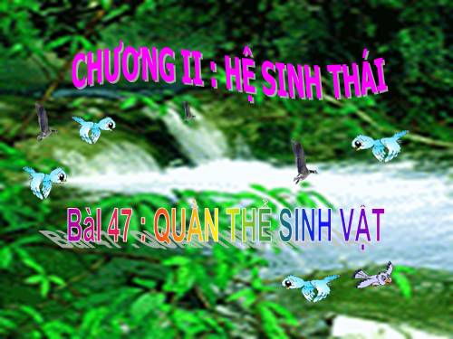 Bài 47. Quần thể sinh vật