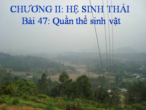 Bài 47. Quần thể sinh vật