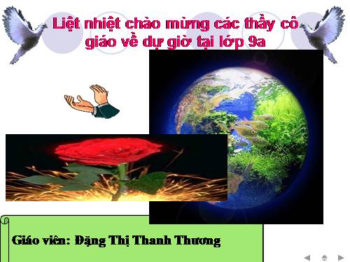 Bài 54. Ô nhiễm môi trường