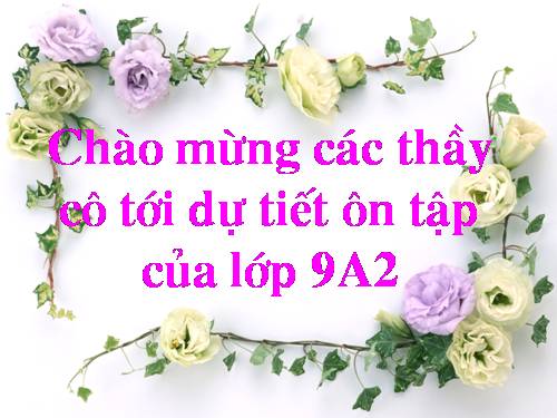 Bài 40. Ôn tập phần Di truyền và biến dị