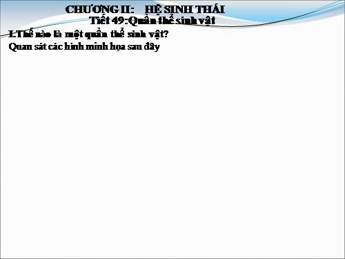 Bài 47. Quần thể sinh vật