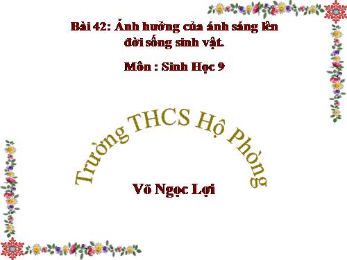 Bài 42. Ảnh hưởng của ánh sáng lên đời sống sinh vật