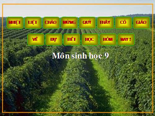 Bài 35. Ưu thế lai