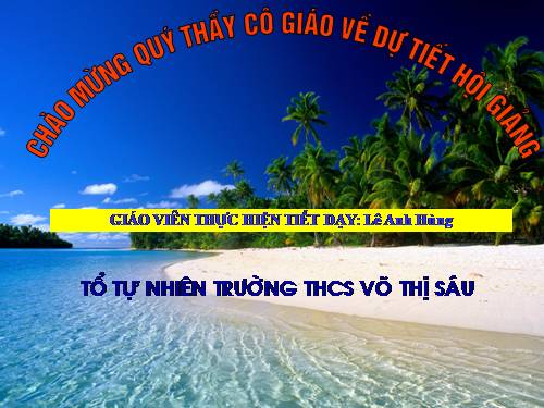 Bài 24. Đột biến số lượng nhiễm sắc thể (tiếp theo)
