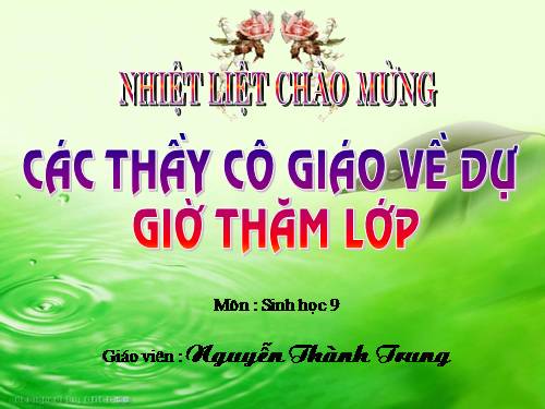 Bài 47. Quần thể sinh vật
