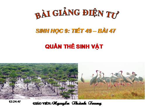 Bài 47. Quần thể sinh vật