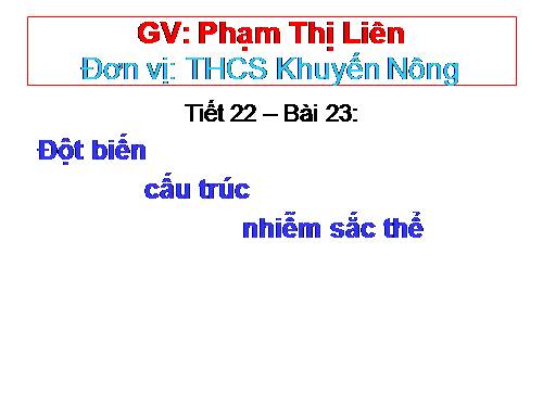 Bài 22. Đột biến cấu trúc nhiễm sắc thể