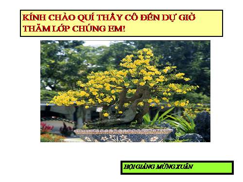 Bài 44. Ảnh hưởng lẫn nhau giữa các sinh vật