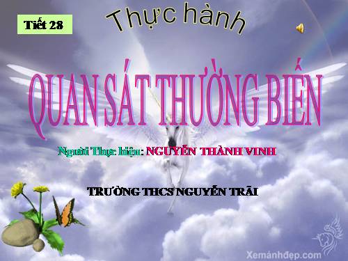 Bài 27. Thực hành: Quan sát thường biến