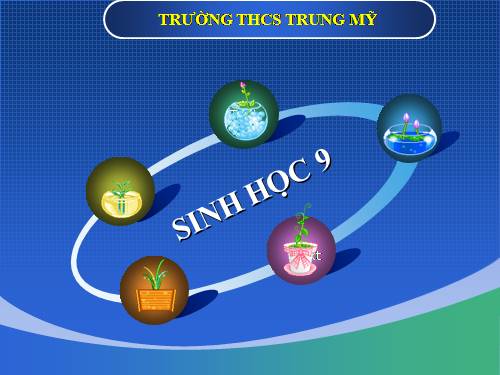 Bài 39. Thực hành: Tìm hiểu thành tựu chọn giống vật nuôi và cây trồng