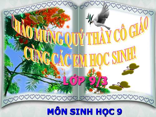 Bài 44. Ảnh hưởng lẫn nhau giữa các sinh vật