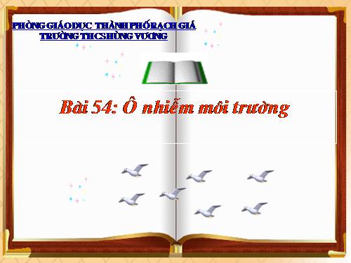 Bài 54. Ô nhiễm môi trường