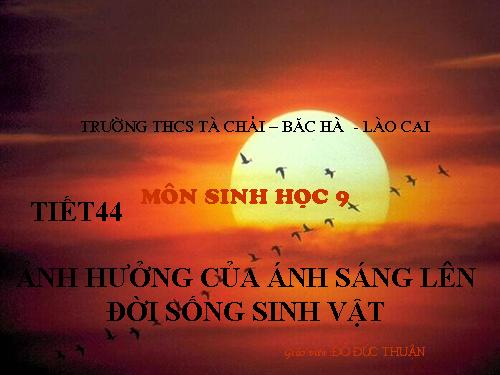 Bài 42. Ảnh hưởng của ánh sáng lên đời sống sinh vật