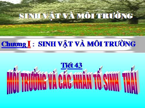 Bài 41. Môi trường và các nhân tố sinh thái