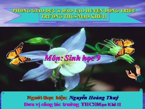 Bài 35. Ưu thế lai