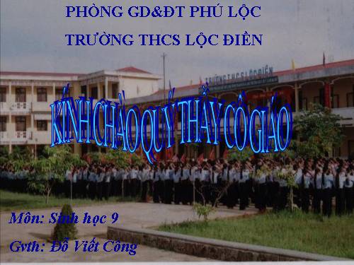 Bài 21. Đột biến gen