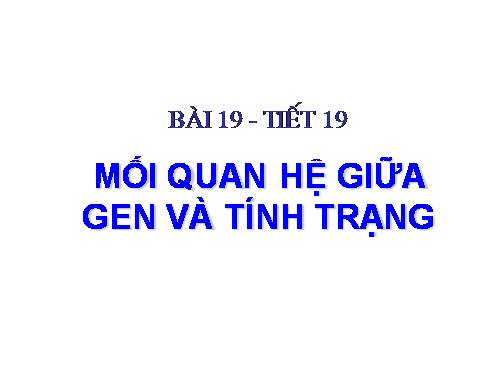 Bài 19. Mối quan hệ giữa gen và tính trạng