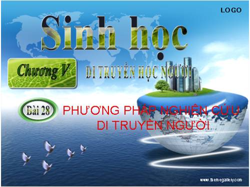 Bài 28. Phương pháp nghiên cứu di truyền người