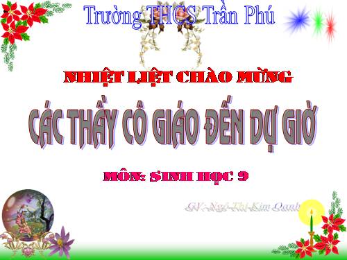 Bài 41. Môi trường và các nhân tố sinh thái