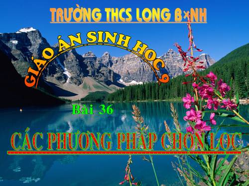 Bài 36. Các phương pháp chọn lọc
