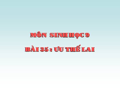 Bài 35. Ưu thế lai