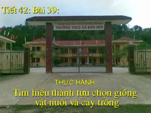 Bài 39. Thực hành: Tìm hiểu thành tựu chọn giống vật nuôi và cây trồng