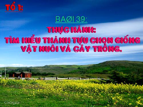 Bài 39. Thực hành: Tìm hiểu thành tựu chọn giống vật nuôi và cây trồng