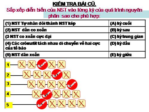 Bài 10. Giảm phân