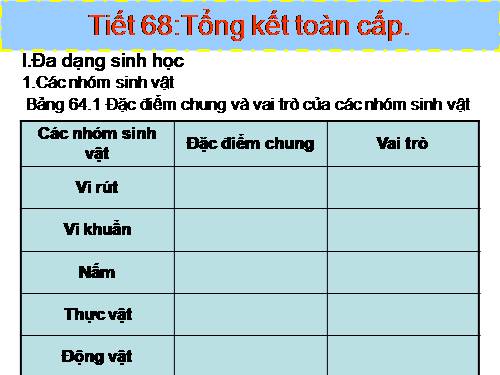 Bài 64. Tổng kết chương trình toàn cấp