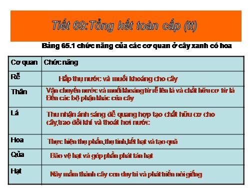 Bài 65. Tổng kết chương trình toàn cấp (tiếp theo)