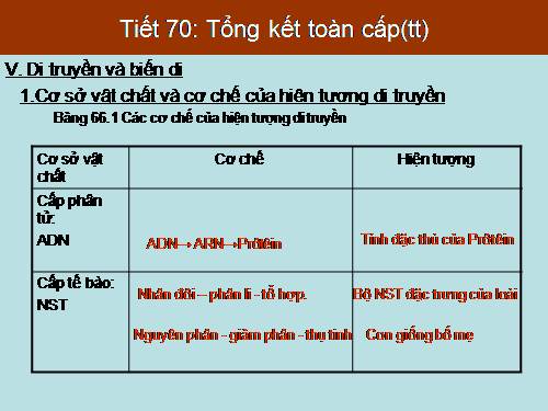 Bài 66. Tổng kết chương trình toàn cấp (tiếp theo)