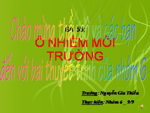 Bài 55. Ô nhiễm môi trường (tiếp theo)