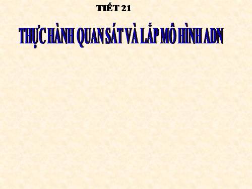 Bài 20. Thực hành: Quan sát và lắp mô hình ADN