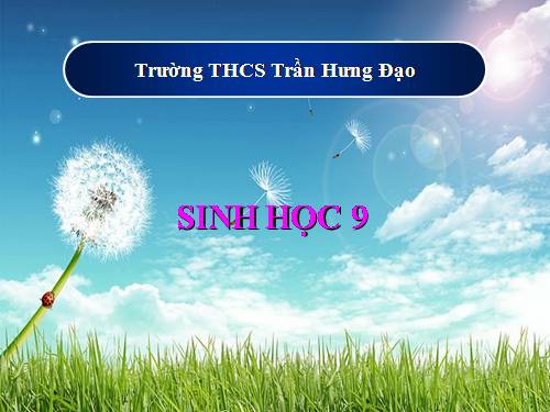 Bài 27. Thực hành: Quan sát thường biến