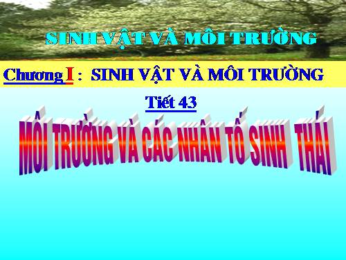 Bài 41. Môi trường và các nhân tố sinh thái