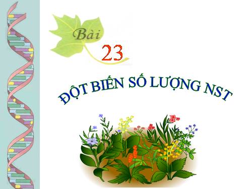 Bài 23. Đột biến số lượng nhiễm sắc thể