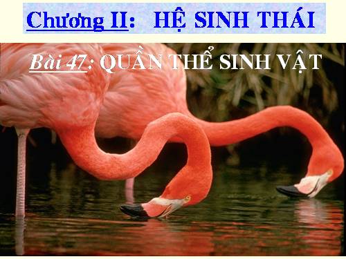 Bài 47. Quần thể sinh vật