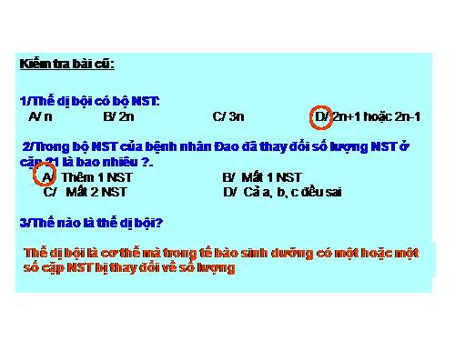 Bài 24. Đột biến số lượng nhiễm sắc thể (tiếp theo)