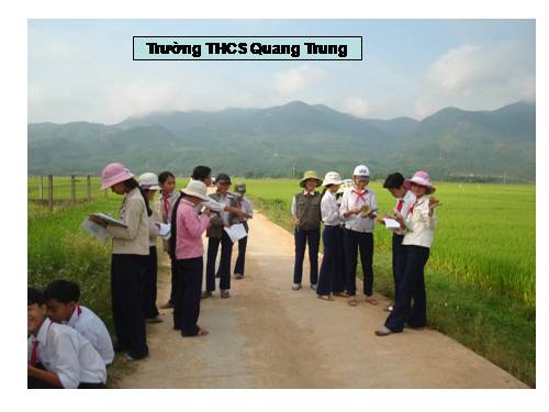 Bài 27. Thực hành: Quan sát thường biến