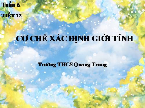 Bài 12. Cơ chế xác định giới tính