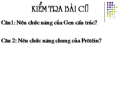 Bài 19. Mối quan hệ giữa gen và tính trạng