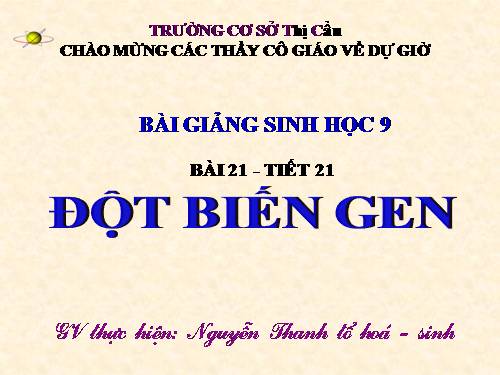 Bài 21. Đột biến gen