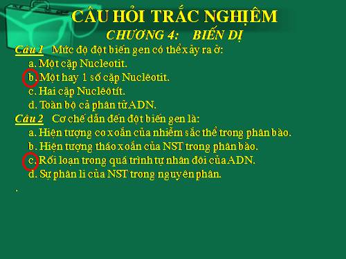 Ôn tập HKI